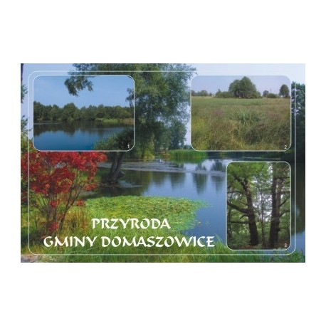 WID-N105 Gmina Domaszowice